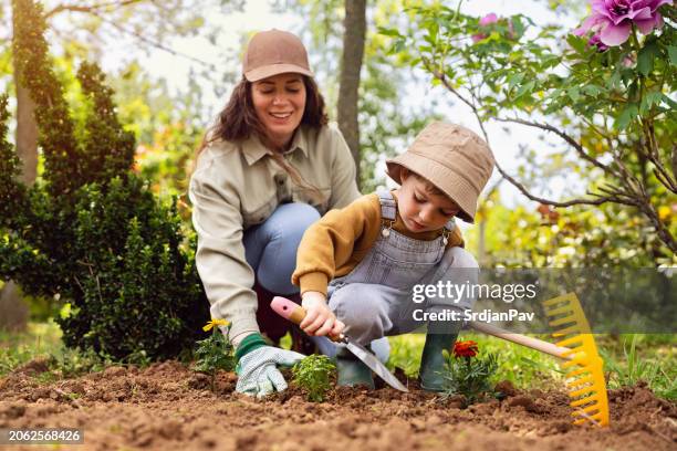 mother and son gardening together - trädgård bildbanksfoton och bilder