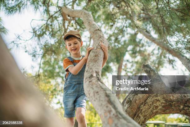 ragazzino sveglio che si gode la primavera o l'estate all'aperto e si arrampica su un albero in un parco - solo bambini maschi foto e immagini stock