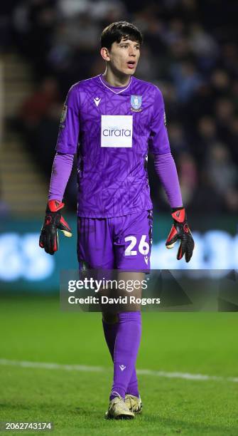 James Beadle of Sheffield Wednesday looks on during the Sky Bet Championship match between Sheffield Wednesday and Plymouth Argyle at Hillsborough on...