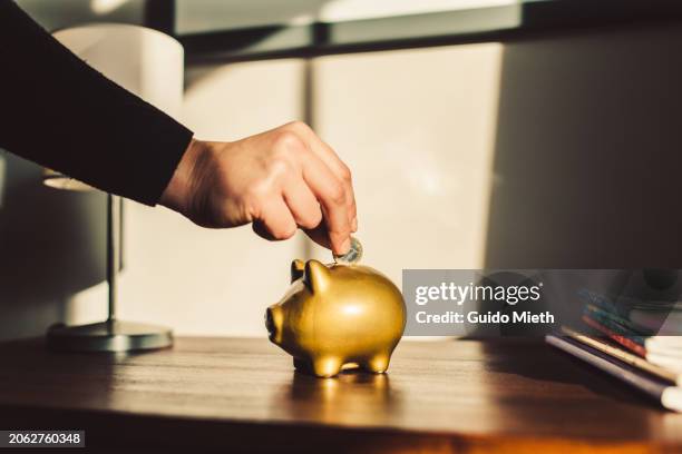 woman putting coin into a golden piggy bank. - geld und finanzen stock-fotos und bilder