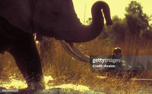 Safari, Okavango Delta With Elephants, Botswana, 1997.