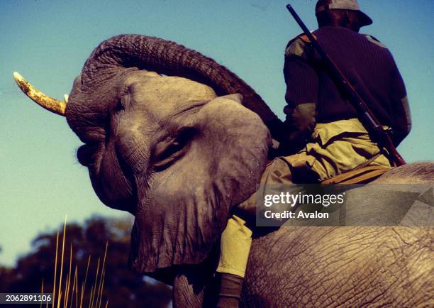 Safari, Okavango Delta With Elephants, Botswana, 1997.