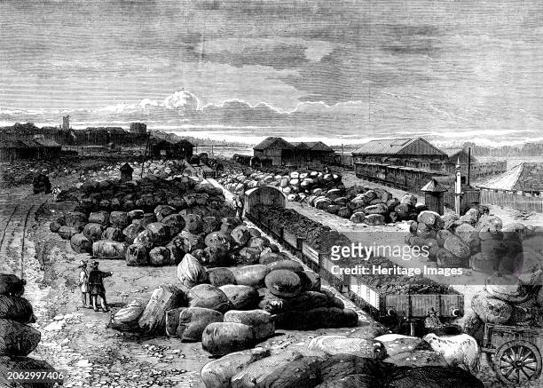 Cotton bales lying at the Bombay terminus of the Great Indian Peninsular Railway ready for shipment to England, 1862. Engraving from a photograph by...