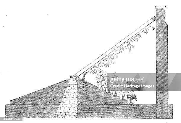 The International Exhibition: section of a Paxton lean-to vinery, 1862. Improved greenhouse technology. From "Illustrated London News", 1862....