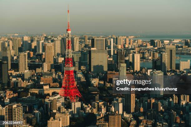 tokyo tower and cityscape with tokyo bay in tokyo japan. - roppongi stock pictures, royalty-free photos & images