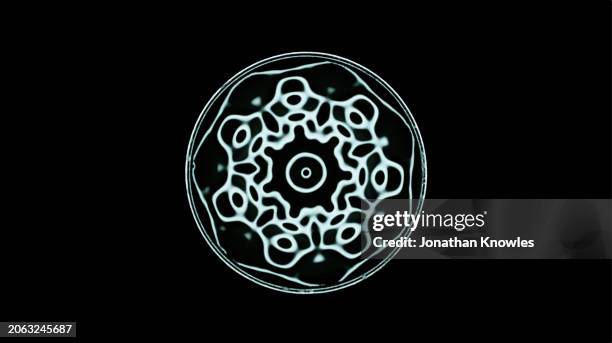 white cymatic pattern - cymatics stock pictures, royalty-free photos & images