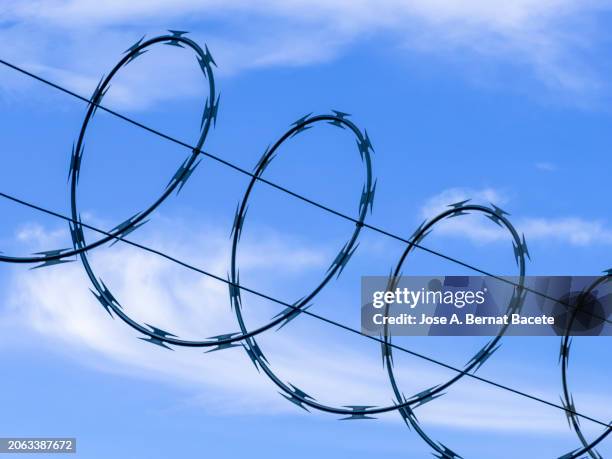 detail of metal fence with barbed wire over a blue sky. - border free stock pictures, royalty-free photos & images