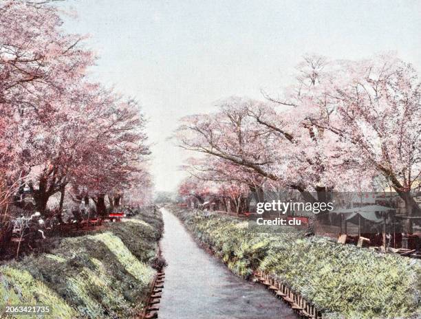 6,469 Vintage Japanese Landscape Stock Photos, High-Res Pictures