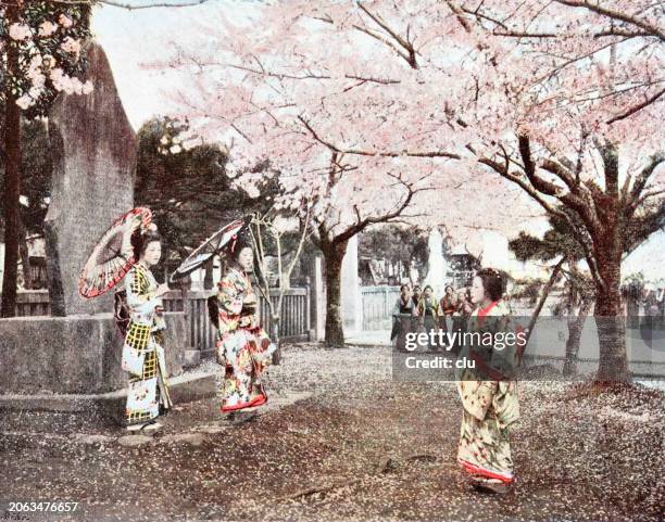 japan, women in traditional costumes at cherry blossom time - only japanese stock illustrations