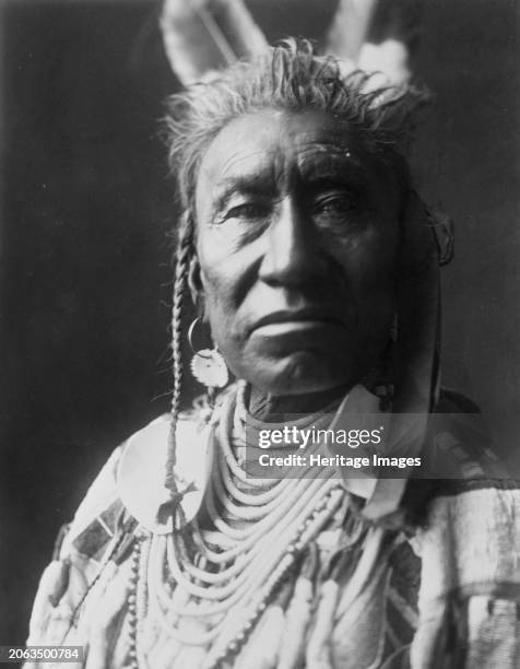 Fish Shows, an Apsaroke Indian, head-and-shoulders portrait, facing front, pompadour, temple braids painted white, 2 eagle feathers, disk earring,...