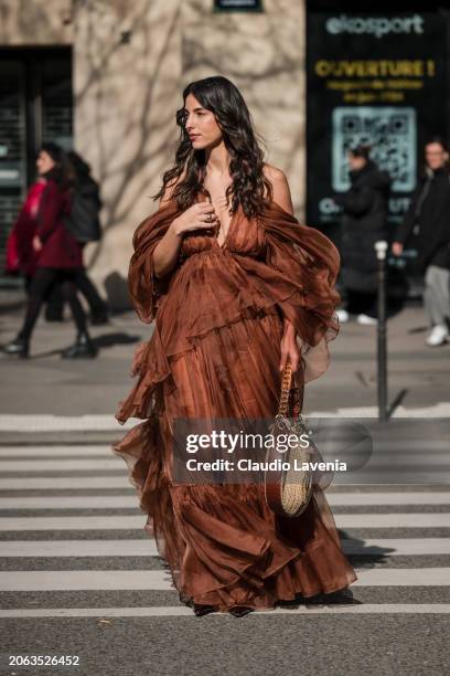 Bettina Looney wears brown ruffle maxi dress, brown bag, outside Zimmermann, during the Womenswear Fall/Winter 2024/2025 as part of Paris Fashion...