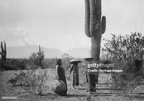 Saguaro fruit gatherers-Maricopa, circa 1907. Three women, two of them with baskets on their heads, standing by cactus plant, Arizona. Creator:...