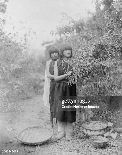 The fruit gatherers, circa 1905. Two Tewa girls picking fruit with basket, bowls on the ground. Creator: Edward Sheriff Curtis.