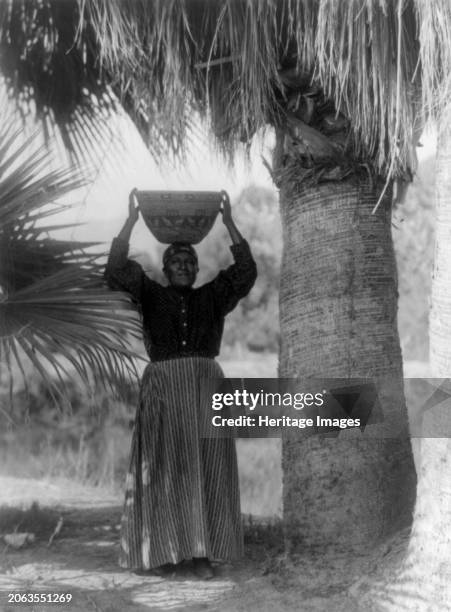 The harvester-Cahuilla circa 1924. Indian woman standing under palm tree with large basket on her head. Creator: Edward Sheriff Curtis.