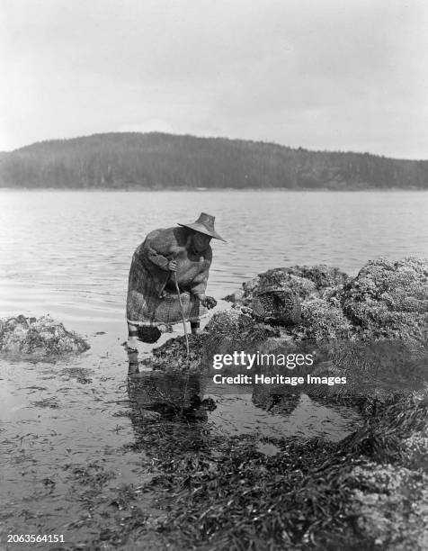 Gathering abalones-Nakoaktok, circa 1910. Kwakiutl woman gathering abalones, Washington. Creator: Edward Sheriff Curtis.