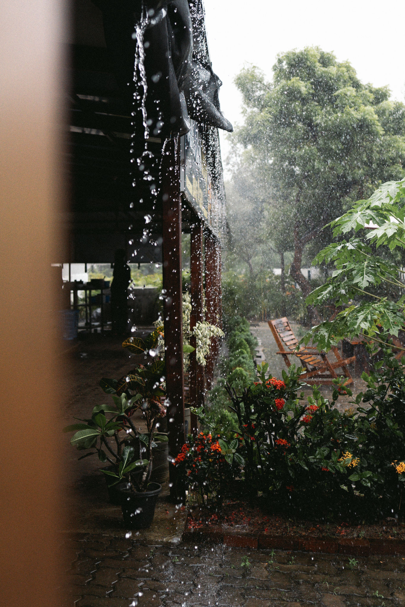 Roadside Cafe in Sri Lanka during Rainy Season Roadside Cafe in Sri Lanka during Rainy Season
