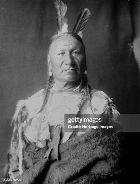 Yellow Horse-Yanktonai, half-length portrait, standing, facing slightly right, with long braids, two eagle feathers in hair, wrapped in buffalo skin,...