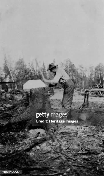 Man chopping down a tree, between circa 1900 and 1916. Creator: Unknown.