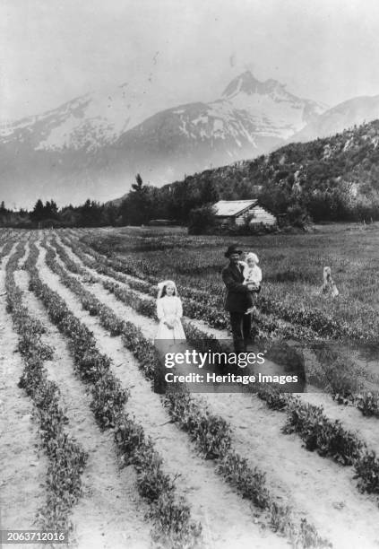 Scene on farm in southeastern Alaska, where small fruits and vegetables grow to twice the size usual elsewhere in the U.S., between circa 1900 and...