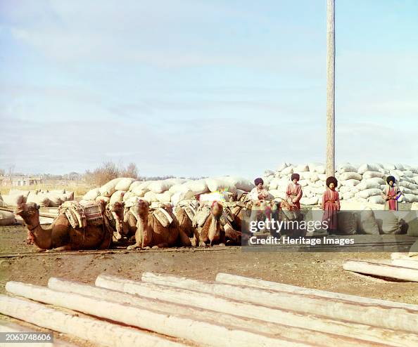 Group Of Camels And Four Men Posed In Front Of Piles Of Sacks