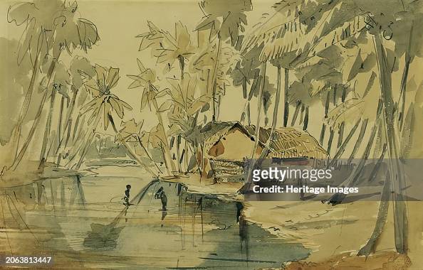 Palm Grove In Ceylon (Sri Lanka)