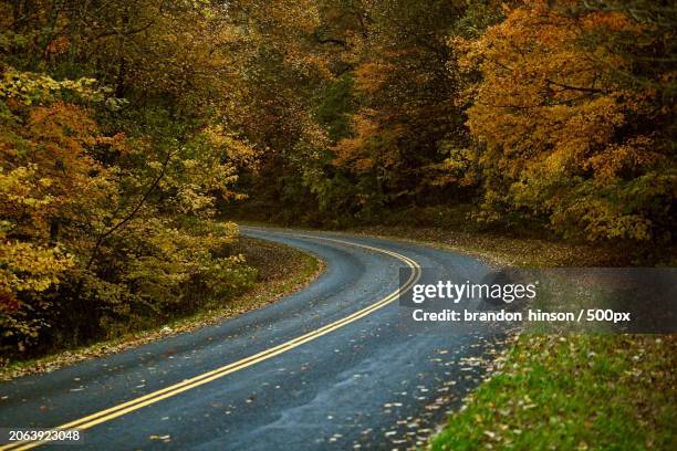 empty road amidst trees in forest,boone,north carolina,united states,usa - boone north carolina stock pictures, royalty-free photos & images