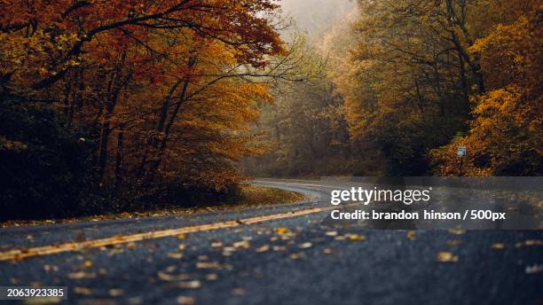empty road amidst trees during autumn,boone,north carolina,united states,usa - boone north carolina stock pictures, royalty-free photos & images