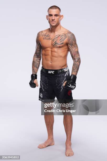 Dustin P 515 Dustin Poirier Pose Ufc Stock Photos, High-Res Pictures, and Images ...