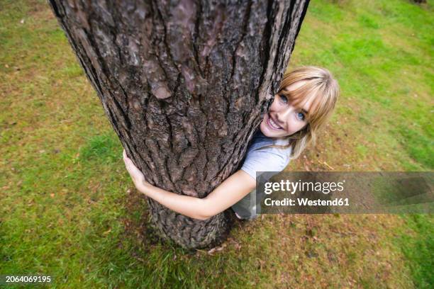 smiling beautiful woman hugging tree - environmentalist stock pictures, royalty-free photos & images