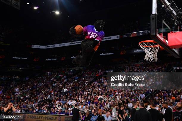 Mascto Go the Gorilla of the Phoenix Suns dunks the ball during the game on March 9, 2024 at Footprint Center in Phoenix, Arizona. NOTE TO USER: User...