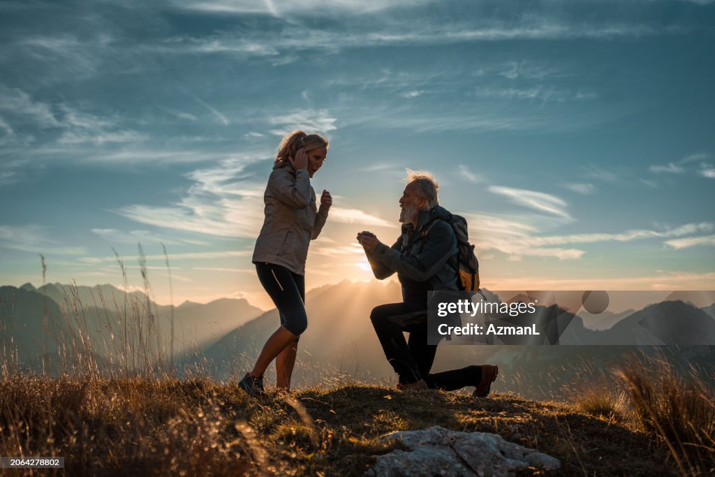 Energetic Wilderness Proposal