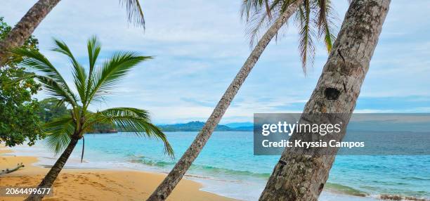 caribbean dream: picture-perfect beachscape in costa rica - puerto viejo stock pictures, royalty-free photos & images