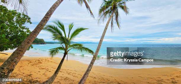 caribbean dream: picture-perfect beachscape in costa rica - puerto viejo stock pictures, royalty-free photos & images