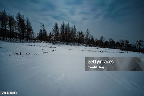 snowfield in moonlight - venushügel stock-fotos und bilder