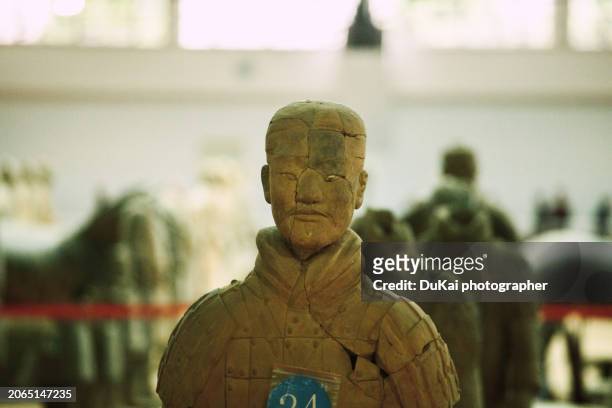 terra cotta warriors in xi 'an - terracotta army stock-fotos und bilder