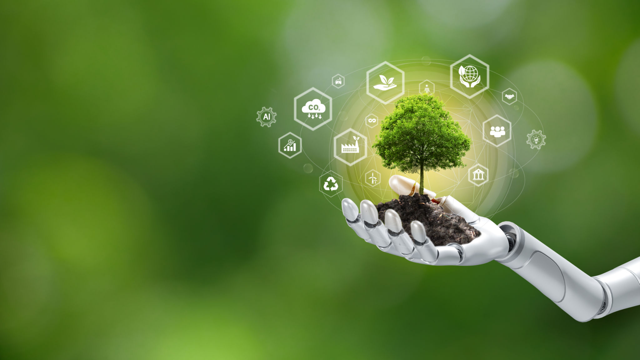 ai sustainability