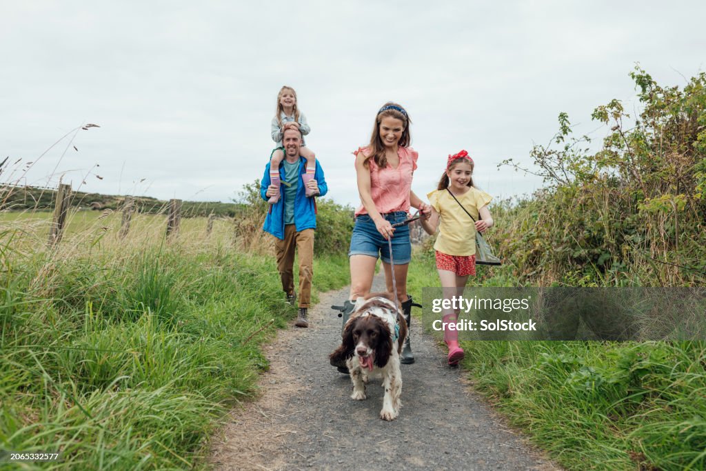 Lustige Familienspaziergänge in der Natur