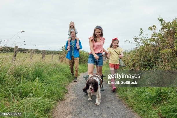 fun family walks in nature - image stock pictures, royalty-free photos & images