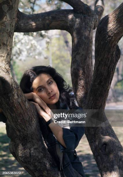 Canadian-American actress Barbara Parkins leaning on a tree trunk in Central Park, New York, April 20th 1977.