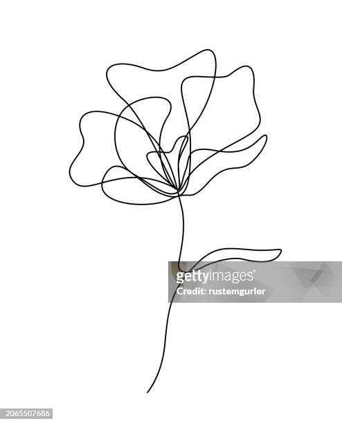 flower drawing mono line. continuous line icon on white background. - bay leaf stock illustrations