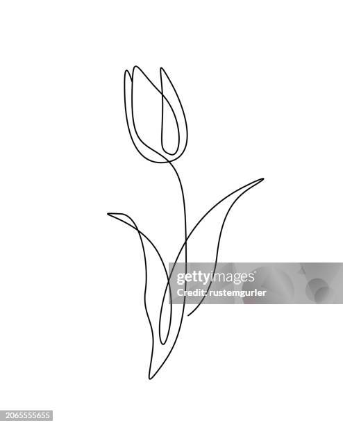 ilustrações de stock, clip art, desenhos animados e ícones de flower drawing mono line. continuous line icon on white background. - tulipa