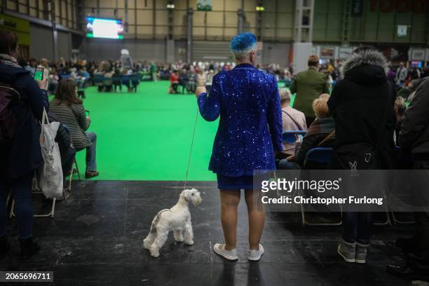 Competitor waits to enter the show ring during Crufts at the National Exhibition Centre on March 07, 2024 in Birmingham, England. Over 24,000 dogs...