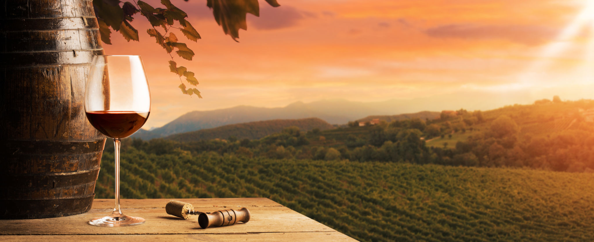 italian wine culture