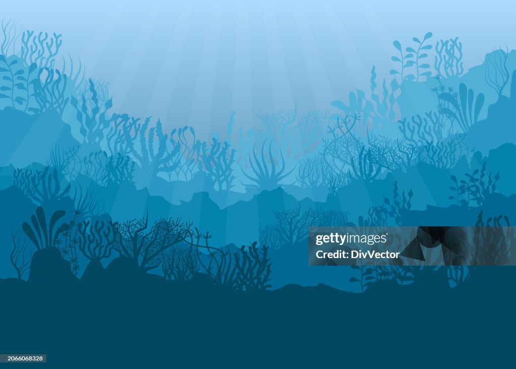 Under The Sea Vector Background High-Res Vector Graphic - Getty Images Under The Sea Vector Background High-Res Vector Graphic - Getty Images