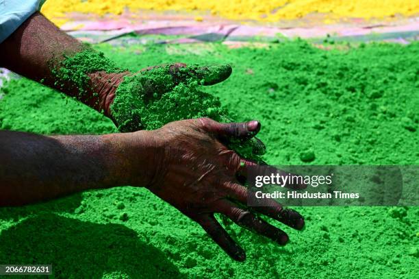 Making of gulal color and keeping them under sunlight is in process at sector-20 ahead of the Holi festival, on March 10, 2024 in Noida, India. Gulal...
