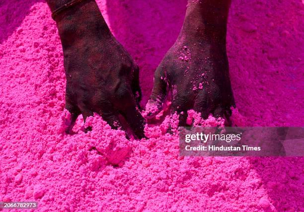 Making of gulal color and keeping them under sunlight is in process at sector-20 ahead of the Holi festival, on March 10, 2024 in Noida, India. Gulal...