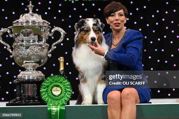 Winner of Best in Show, the Australian Shepherd, "Viking" with handler Melanie Raymond pose for photographs at the trophy presentation for the Best...