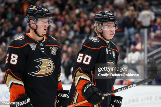 Gustav Lindstrom of the Anaheim Ducks and Jackson LaCombe meet on the ice during the third period against the New York Islanders at Honda Center on...