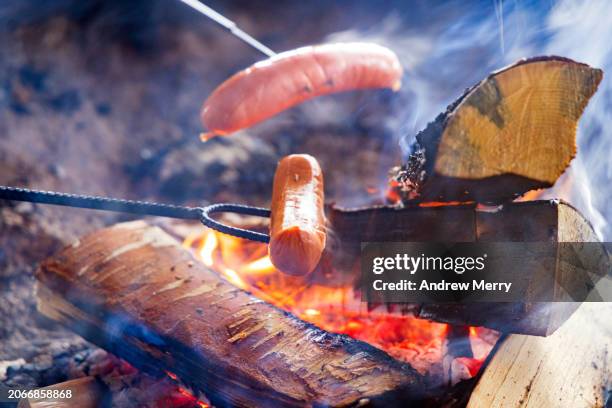 campfire cooking sausages on stick - camp fire stock pictures, royalty-free photos & images