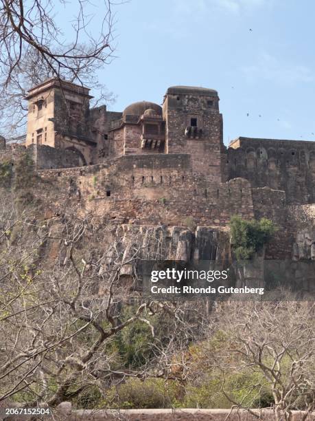 ranthambore fort, india - ranthambore fort stock pictures, royalty-free photos & images